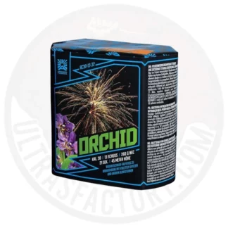 Orchid Ac30 13 32