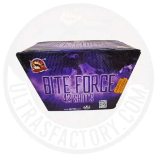 Biteforce Photoroom