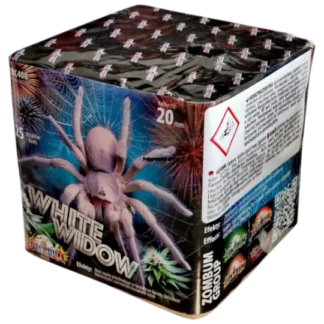 Zbc408 Fotografia Fotografia Fotografia